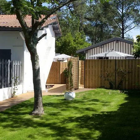 Bed & Breakfast Le Comptoir Des Sables Biscarrosse-Plage