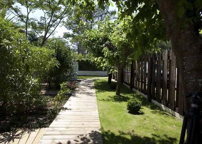 Bed and breakfast Le Comptoir Des Sables Biscarrosse-Plage